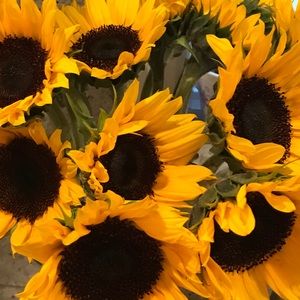 Meet your Posher, Sara